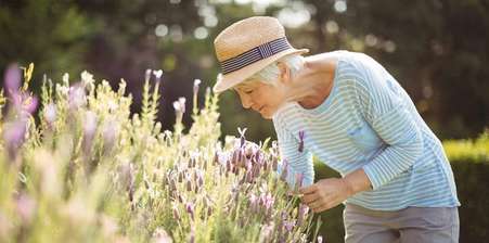 Elderly woman smelling lavender flowers