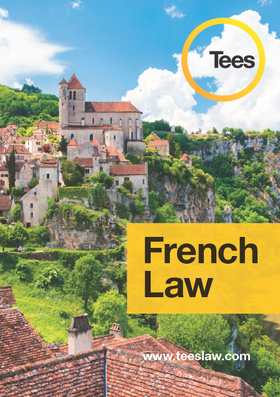 French Law brochure cover